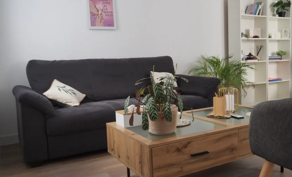 psicologa-coruna-sala-de-consulta